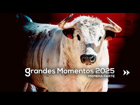🤩 GREAT MOMENTS of 2025 · Part One