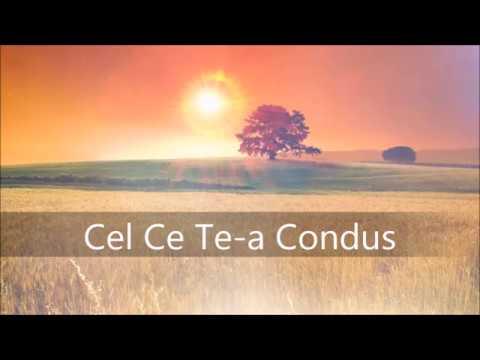 Damaris Cauneac - Cel ce te-a condus (Iehova Iire) |official Audio|