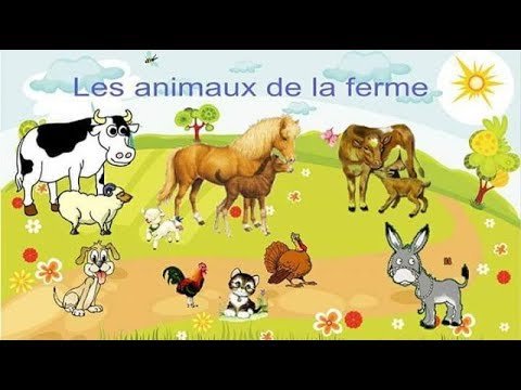 , title : '#les_animaux_de_la_ferme #Hamid بالفرنسية أسماء الحيوانات الأليفة مع #حميد'