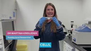 Cancer Research Showcase at Systems Biology Ireland  and Precision Oncology Ireland in UCD.