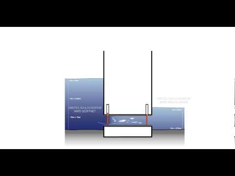 ANIMATION SCHEMA phase2