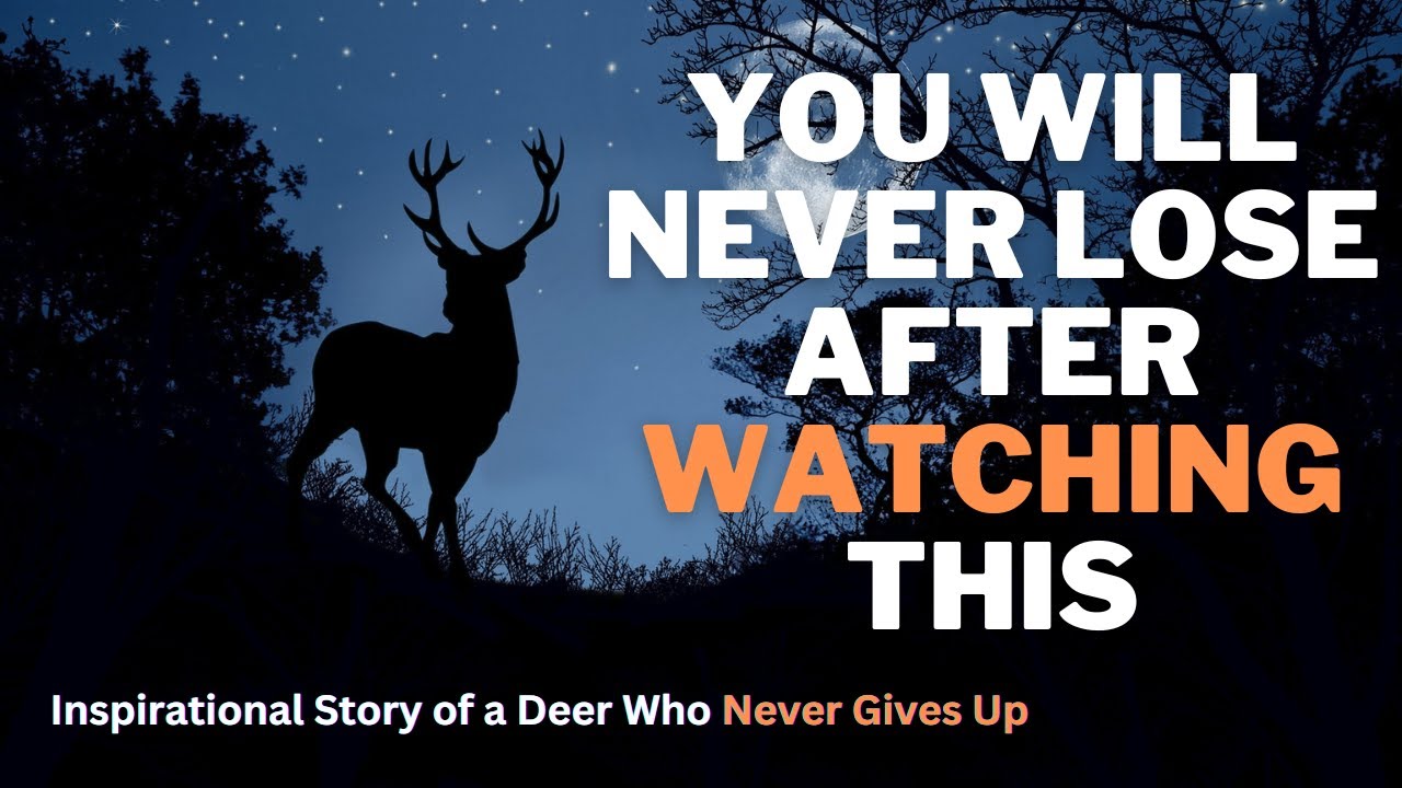 You Will Never Lose After watching this || Inspirational Story of a Deer Who Never Gives Up