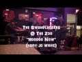 The Swamplanders Hoodoo Now at The Zoo12814