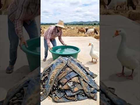 #shortvideo #trending #bgmi #vlog #viralvideo #subscribe