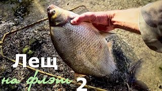 Лещ методы ловли