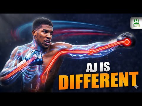 The Anatomy of a Boxing Warrior