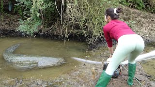 Greatest Fishing Videos, Uniques Fishing, Catching Giant Fish in the Wild