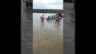 pra você que gosta de curtir a natureza , esse vídeo é pra voce  #shots