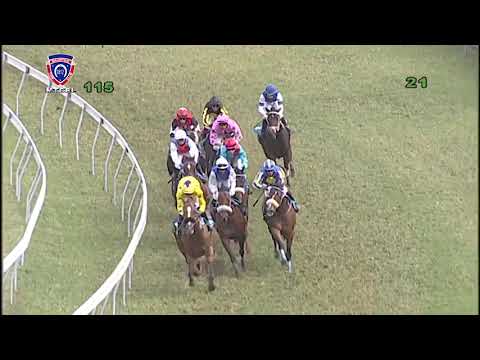 RM11 R5 | Alameery | J.Allyhosain