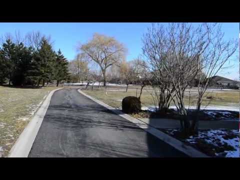 Brampton House Land 10917 McVean