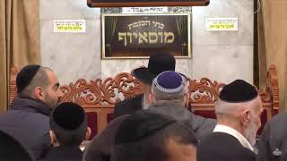 פרשת שמיני מוסאיוף ניסן תשפג
