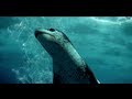 Andrew Silke Making Of Animation Reel