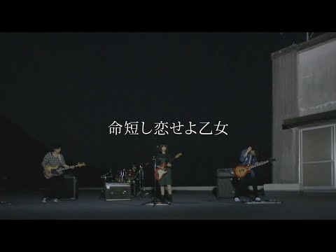 MOSHIMO「命短し恋せよ乙女」MV