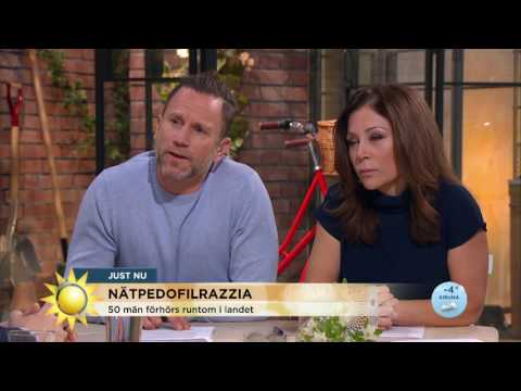 50 gripna för sexbrott mot barn - vilka är förövarna?  - Nyhetsmorgon (TV4)