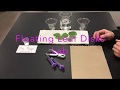 Floating Leaf Disks Lab (Photosynthesis)