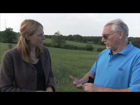 Biggest Roman Coin Hoard Ever Found in Britain