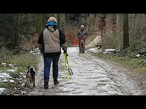 PSH Seminar Aarau - Februar 2019