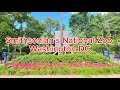 Smithsonian’s National Zoo Full Tour - Washington DC #travel #usa #natura #viral #video May 31, 2024