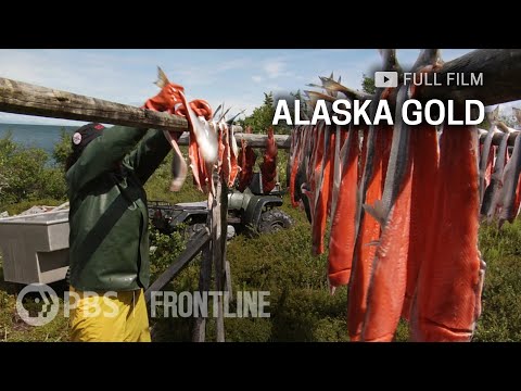 Alaska Gold