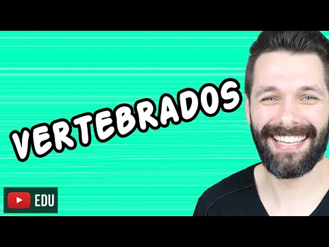 VERTEBRADOS - CARACTERÍSTICAS E GRUPOS - ZOOLOGIA | Biologia com Samuel Cunha