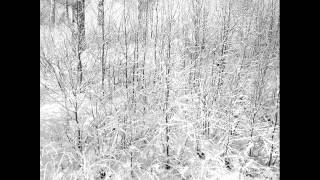 Cashmere Cat - Ice Rink Feat. DJ Mustard