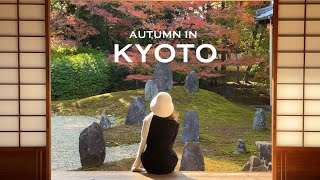 Kyoto in autumn | 3-day itinerary | teahouse, cafes, temples & red leaves spots 
