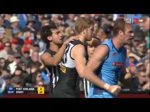 Grand Final Highlights: Port Adelaide v Sturt