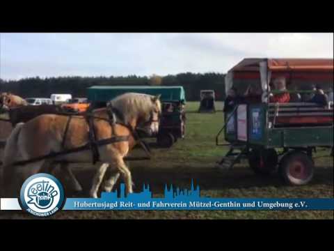 Hubertusjagd Reit-  und Fahrverein Mützel Genthin und Umgebung e V