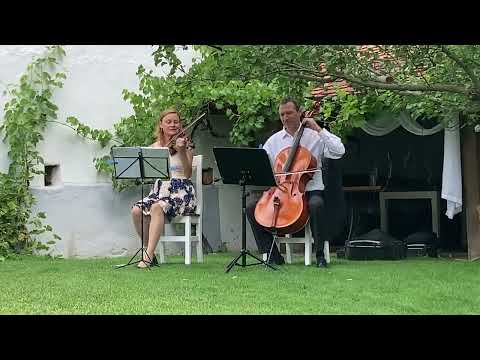 Znàm jednu starou zahradu - Šíleně smutná princezna - Duo housle a violoncello