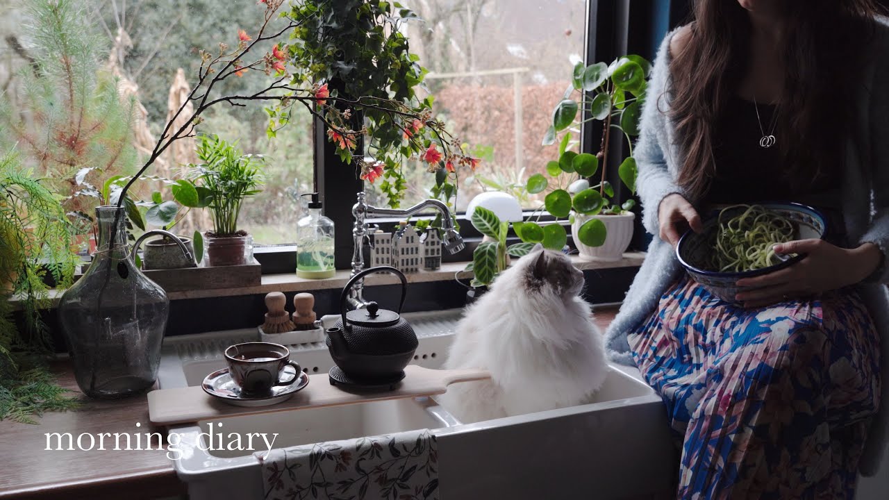 Relaxing Morning Diary🪴My favorite Hummus recipe, breakfast & Healthy rainbow salad 🌈