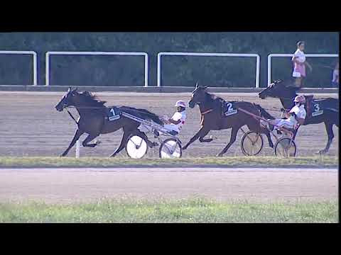 Napoli Trotto 10/09/2023 - 6ª corsa