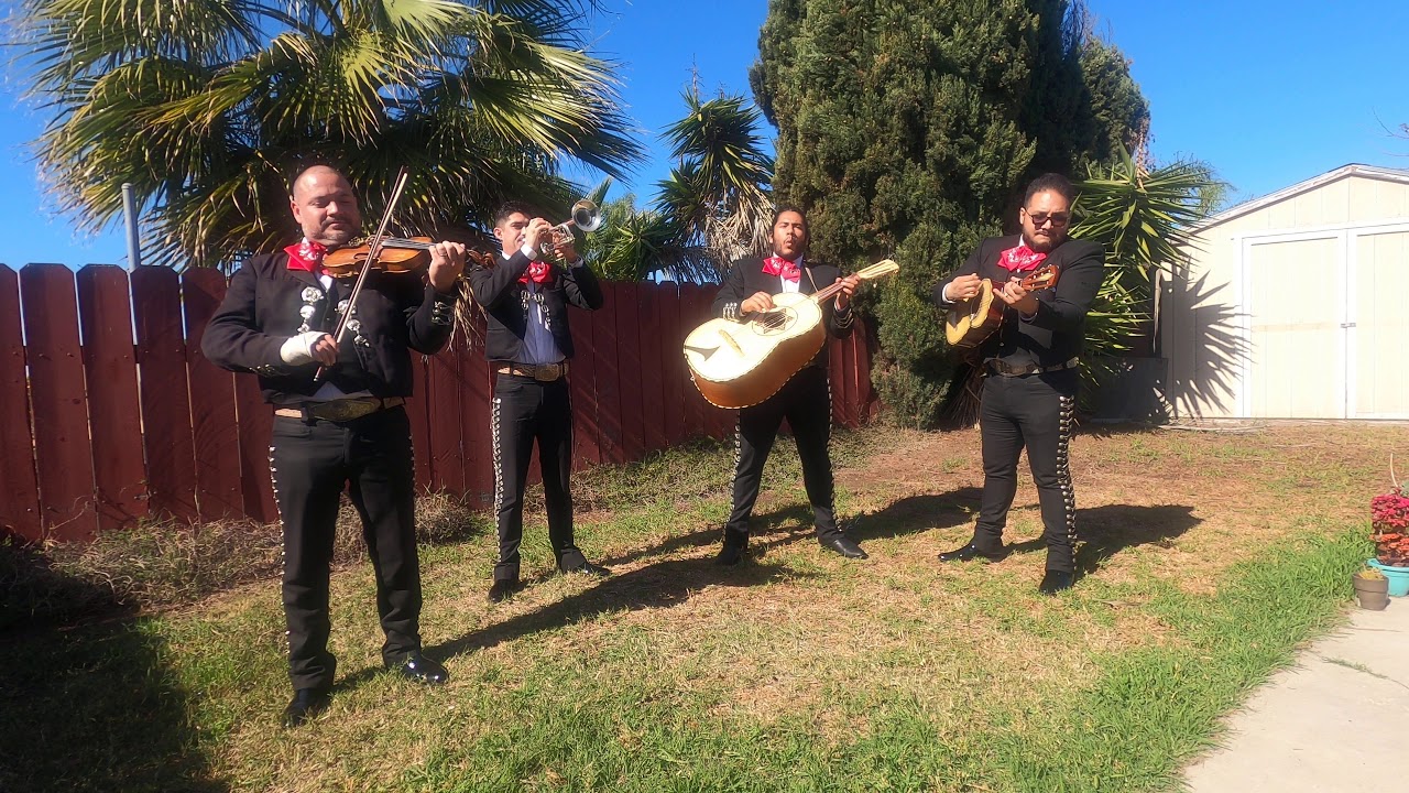 Promotional video thumbnail 3 for Mariachi Serenata San Diego