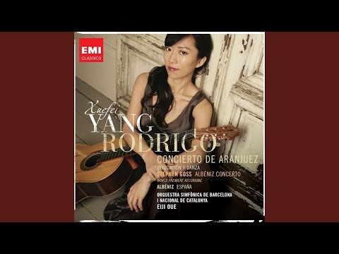 Concierto de Aranjuez: I. Allegro con spirito