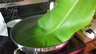 The easiest way to preserve banana leaves (pt 1)