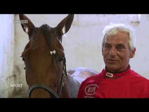 Großer Badener Zuchtpreis 2016 - Super Hall / Franz Konlechner