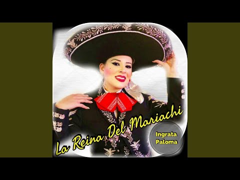 Me Volvi a Equivocar