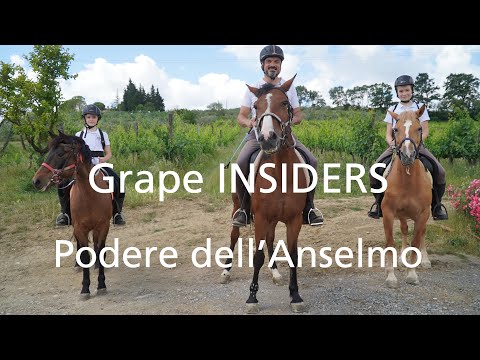 Grape INSIDERS: Podere dell'Anselmo in Montespertoli