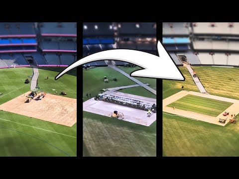 Melbourne Cricket Ground and Cricket Australia