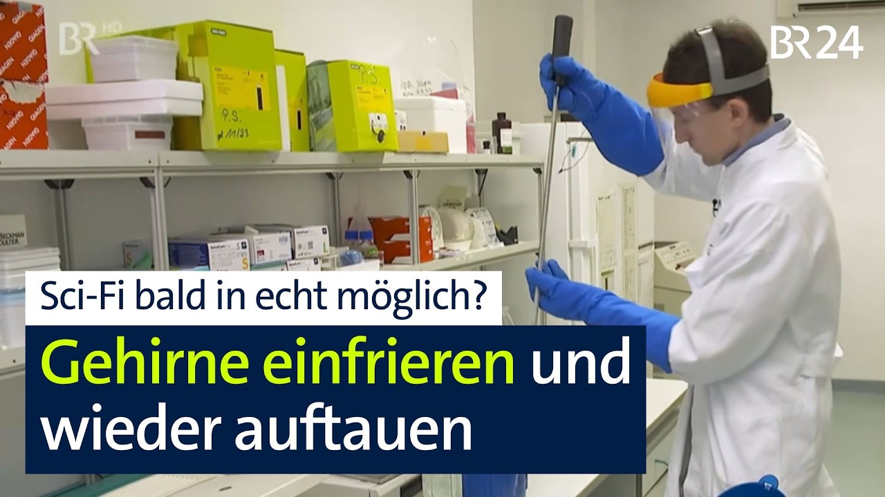 Bald möglich? Gehirne einfrieren und wieder auftauen | BR24