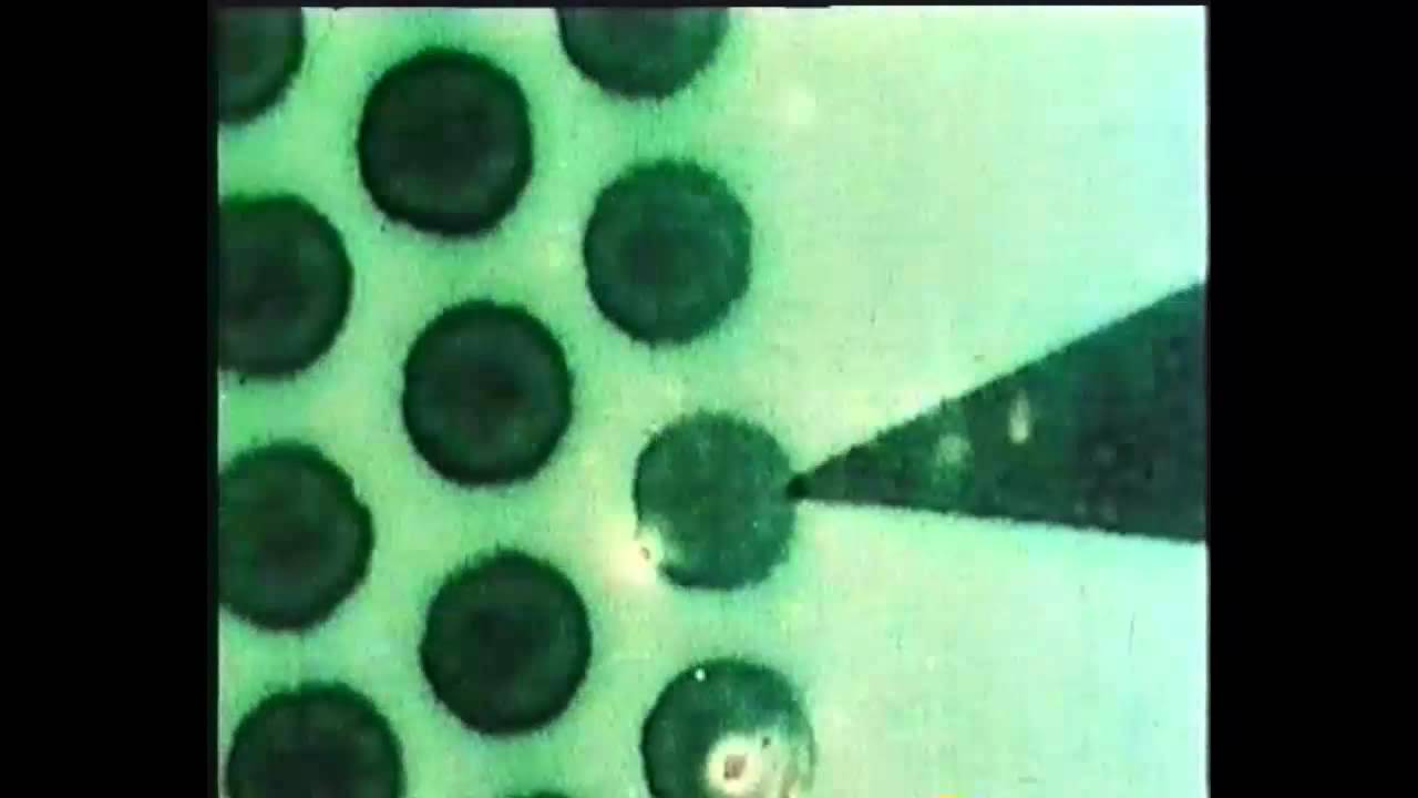 MTV - Len Lye - Swinging the lambeth walk