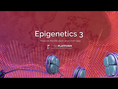 Epigenetics3: Histone Modification and ChIP-seq