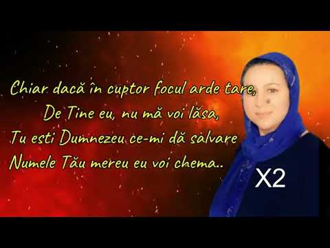 CORINA MOLDOVAN - NEGATIV ORIGINAL - NOU 2021