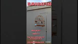 ELSHADAY-163