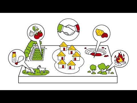 Use Territorial approaches for sustainable rural development