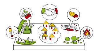 Use Territorial approaches for sustainable rural development