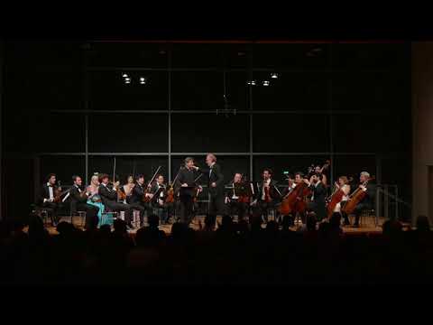 iPalpiti/Schmieder. Schubert – An Silvia. Wolfgang Holzmair, Baritone