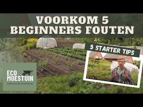 , title : 'Voorkom 5 veelgemaakte beginnersfouten'