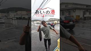 あいの里ならぬ⚓️あいの港⚓️2話 #恋愛 #漁師 #あいの港