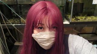 プロジェクトゾンボイドお片付け雑談ｗ