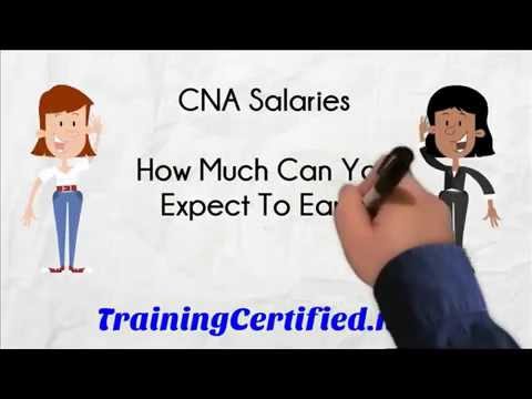 What Is Cna Pay Rate